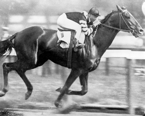 Man o' War Fastest Horse